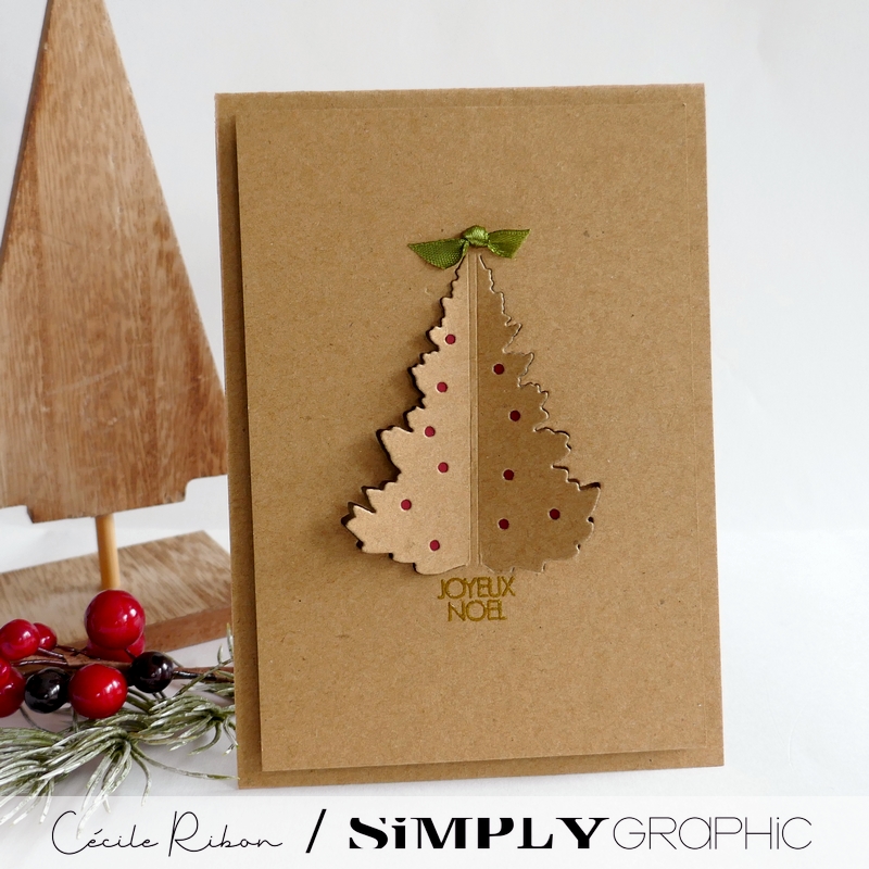 Carte Noël2023 01 - P1420717