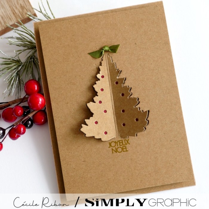 Carte Noël2023 01 - P1420723