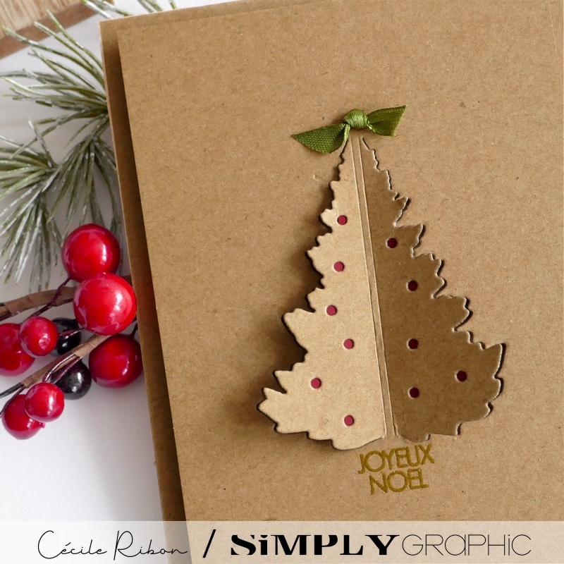 Carte Noël2023 01 - P1420724