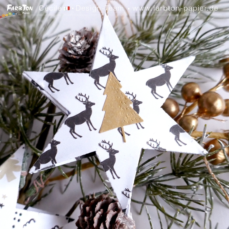 FarbtonP105 - P1430126