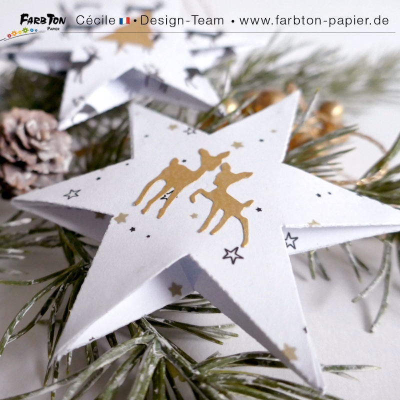 FarbtonP105 - P1430134