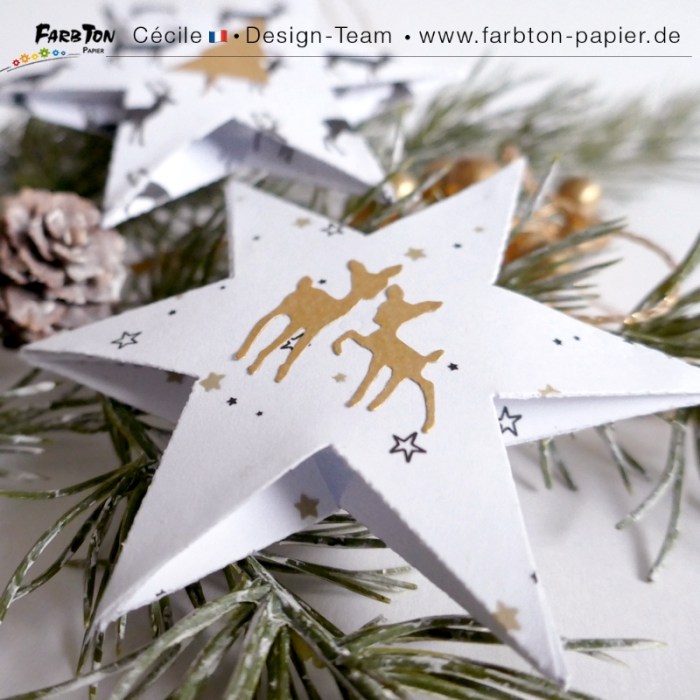 FarbtonP105 - P1430134