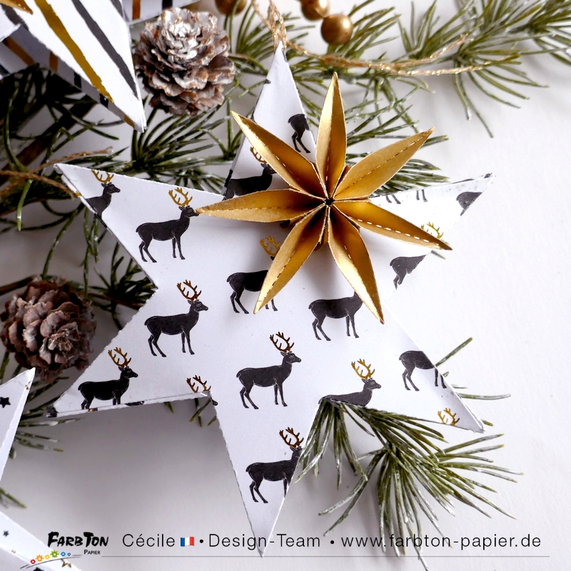 FarbtonP107 - P1430195