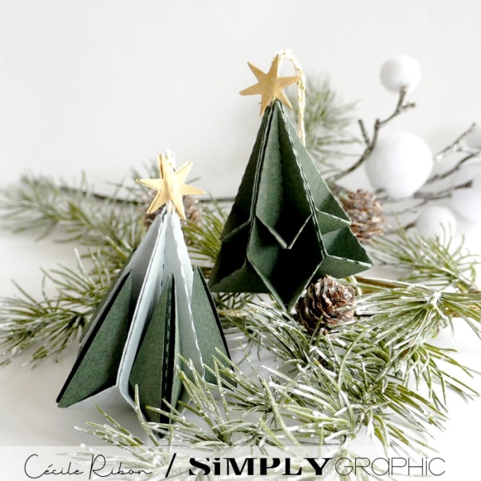 Noël2023 05 - P1420839