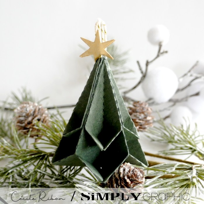 Noël2023 05 - P1420842