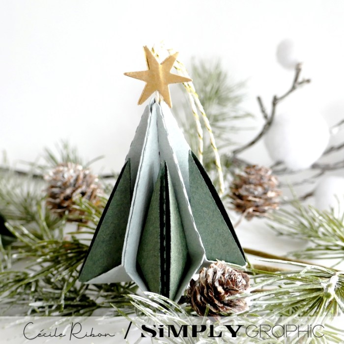 Noël2023 05 - P1420846