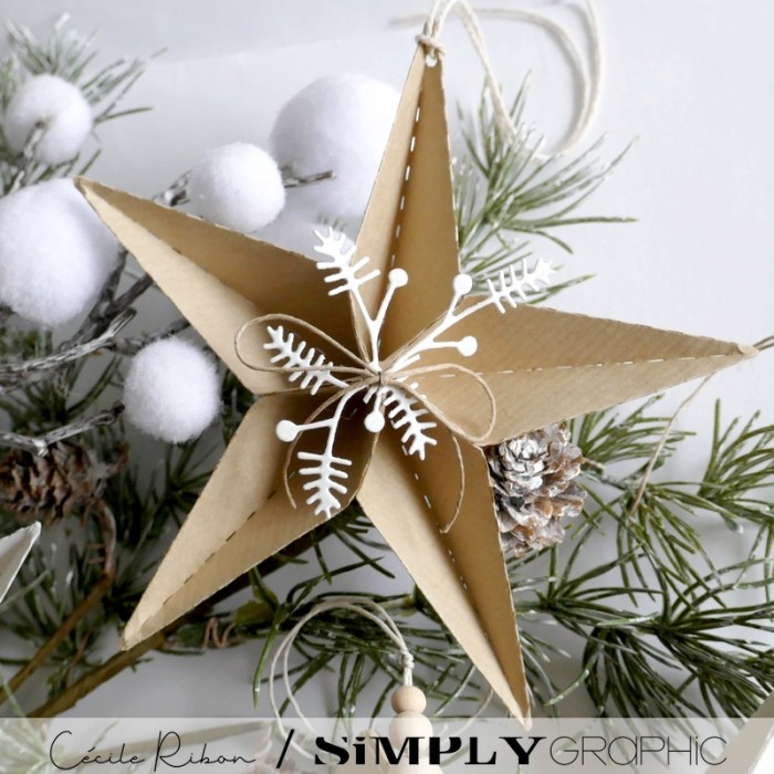 Noël2023 06 - P1430223