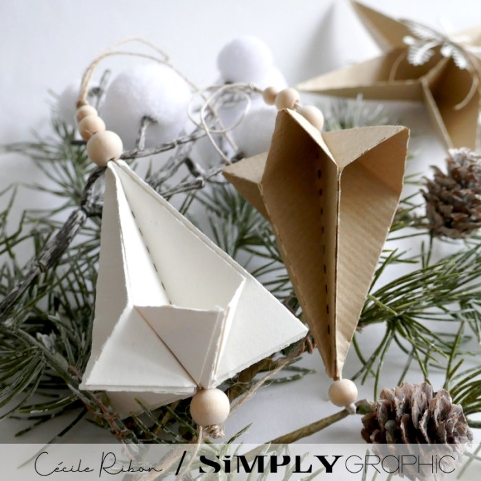 Noël2023 06 - P1430235