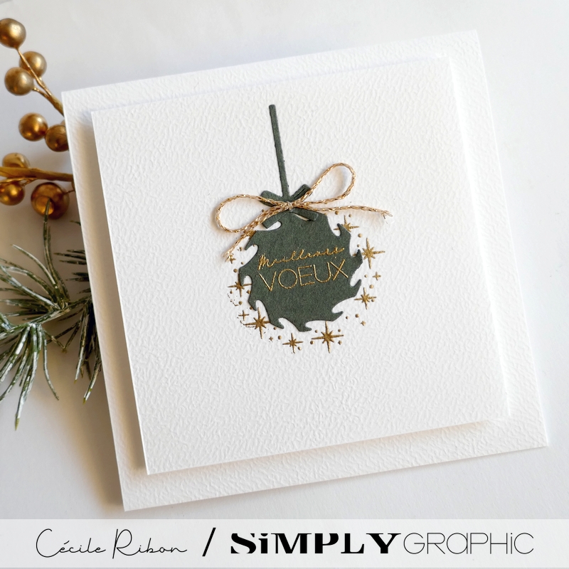 CalAvent SG01 - P1430458