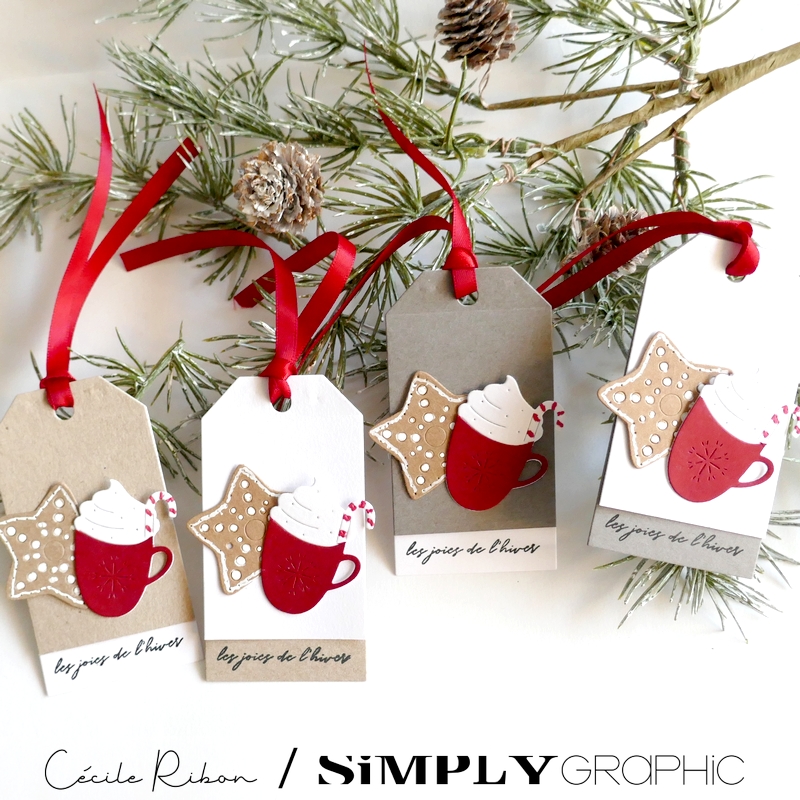 CalAvent SG02 - P1430482