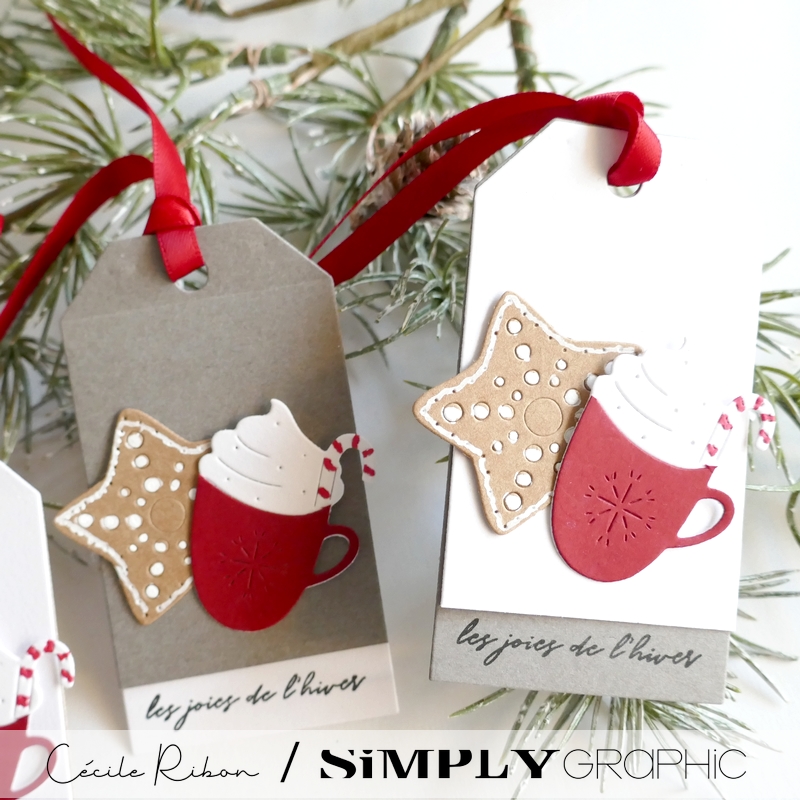 CalAvent SG02 - P1430484