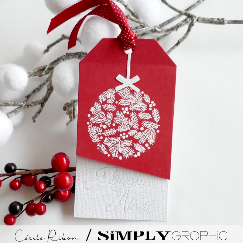 CalAvent SG04 - P1430571