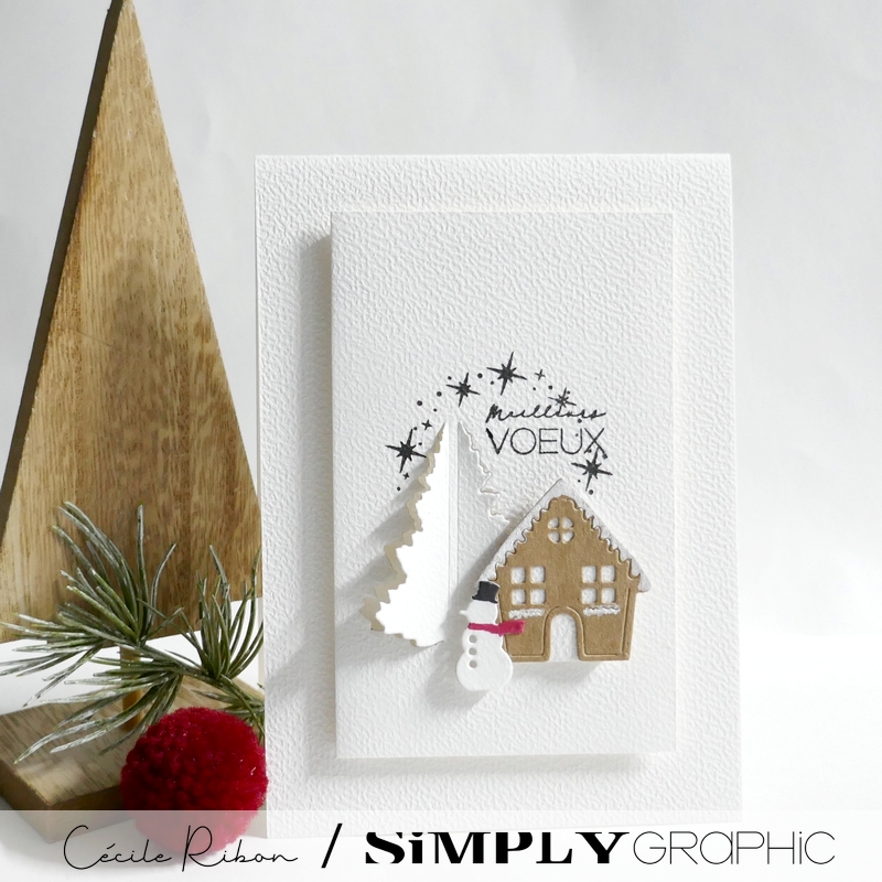 CalAvent SG05 - P1430614