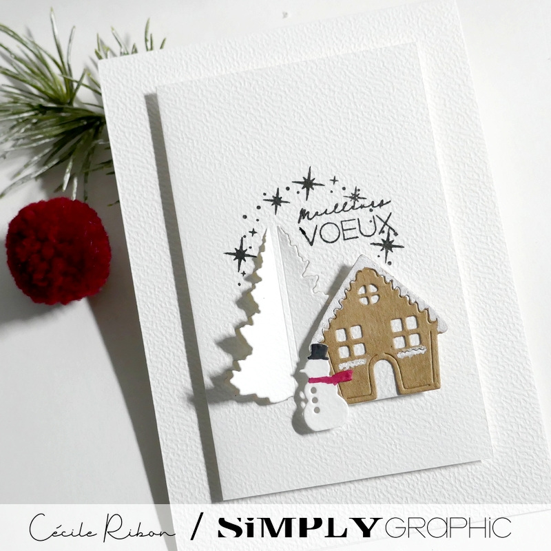 CalAvent SG05 - P1430621