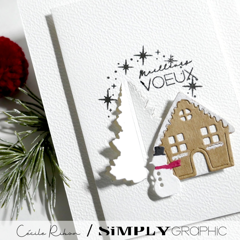 CalAvent SG05 - P1430626