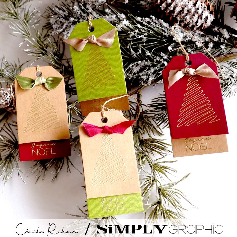 CalAvent SG06 - P1430646