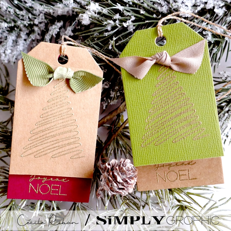 CalAvent SG06 - P1430656