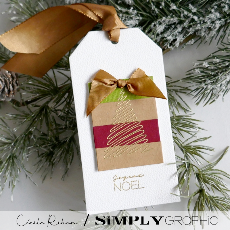 CalAvent SG06 - P1430662