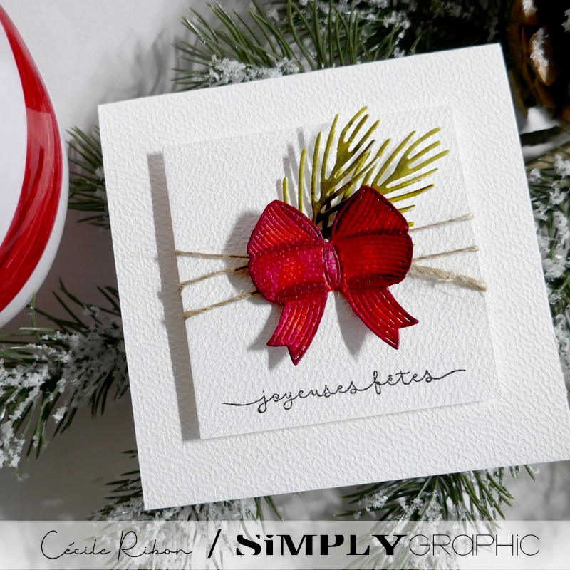 CalAvent SG07 - P1430699