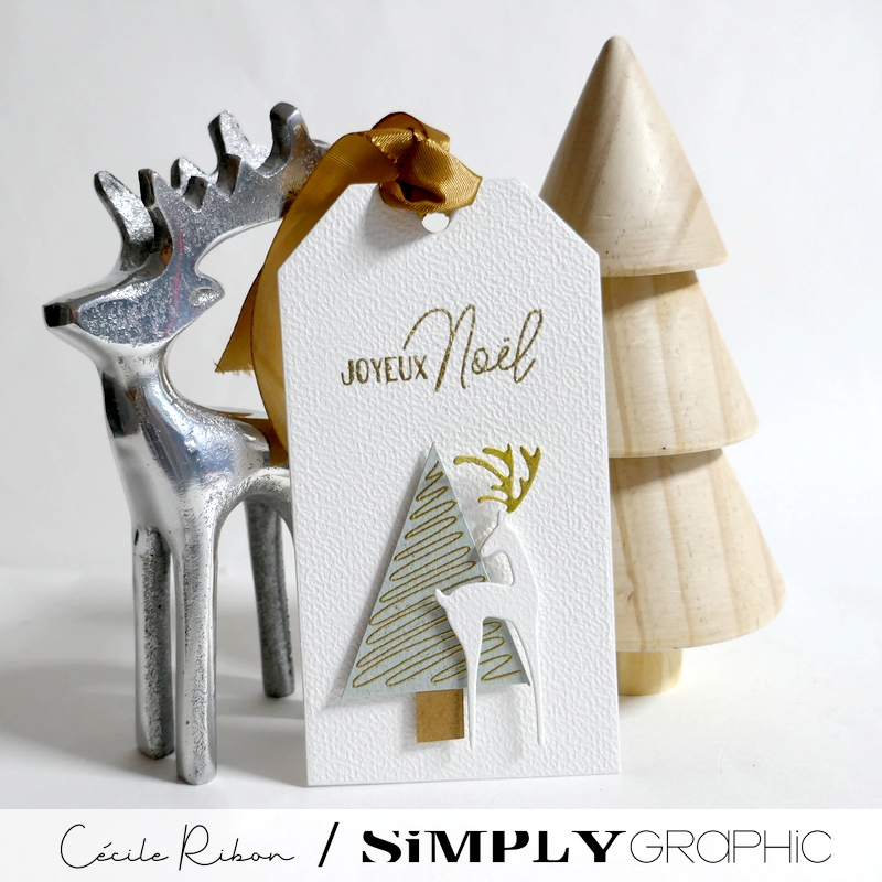 CalAvent SG08 - P1430732