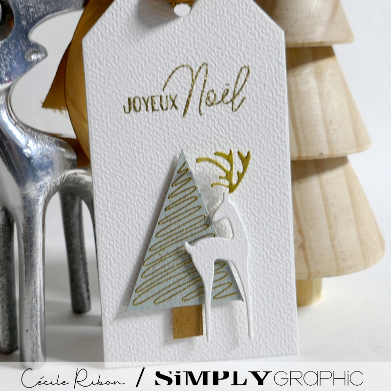 CalAvent SG08 - P1430735