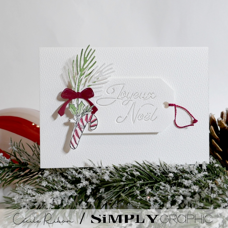 CalAvent SG12 - P1430856