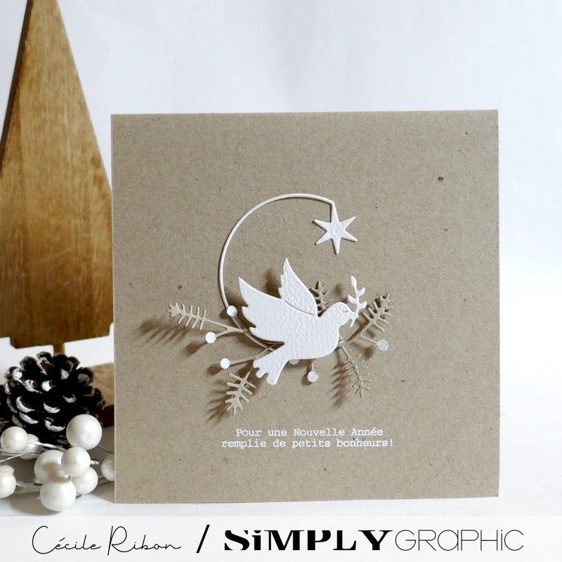 CalAvent SG13 - P1430890