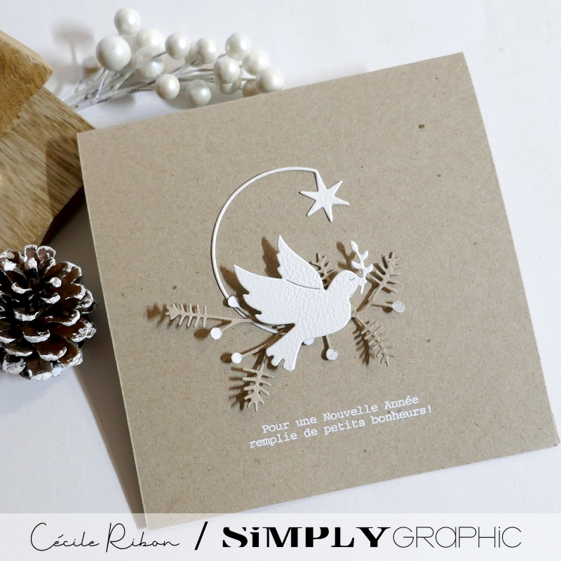 CalAvent SG13 - P1430894