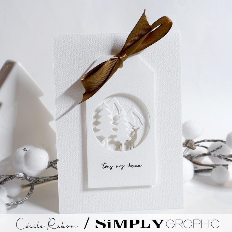 CalAvent SG14 - P1430923