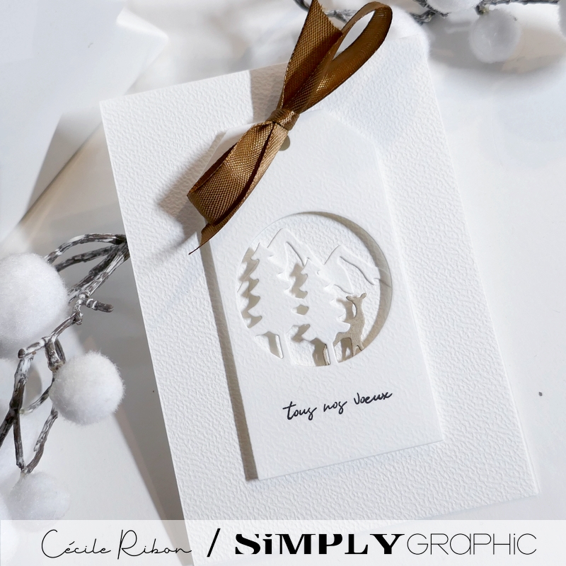 CalAvent SG14 - P1430930