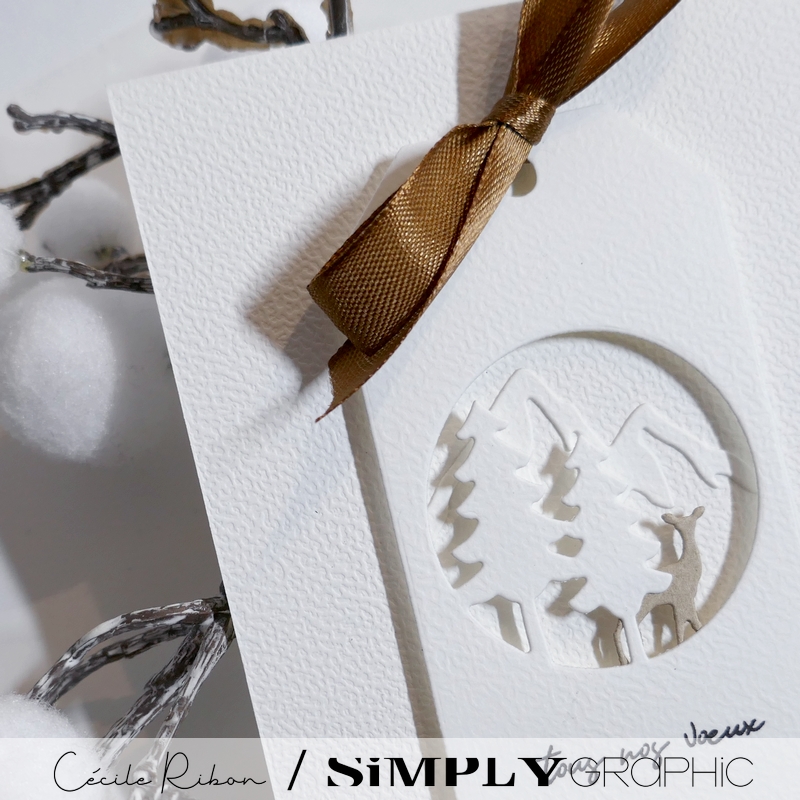 calAvent SG14 - P1430941