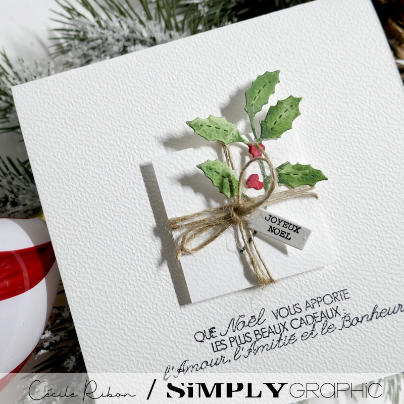 CalAvent SG16 - P1440042