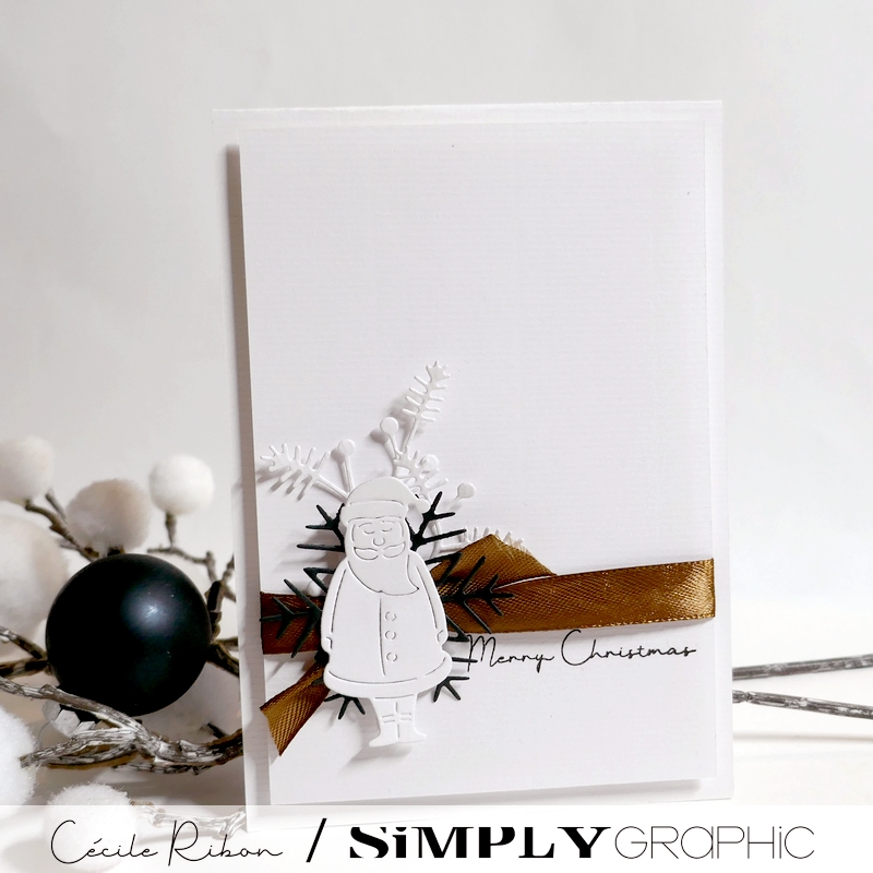 CalAvent SG17 - P1440065