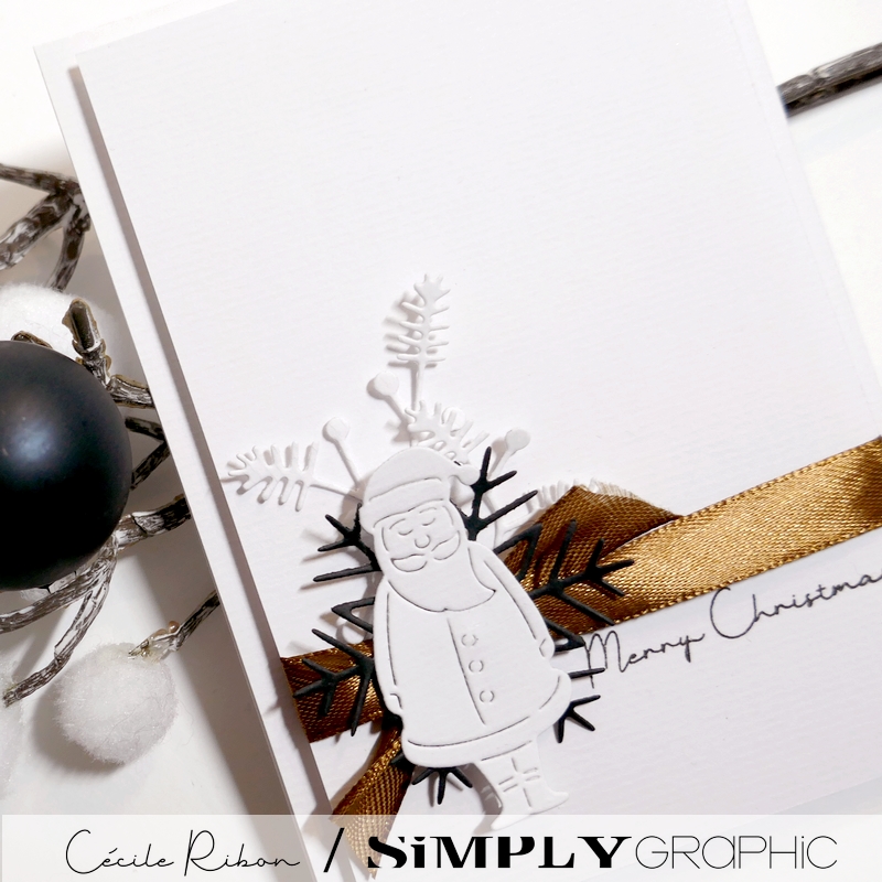 CalAvent SG17 - P1440081