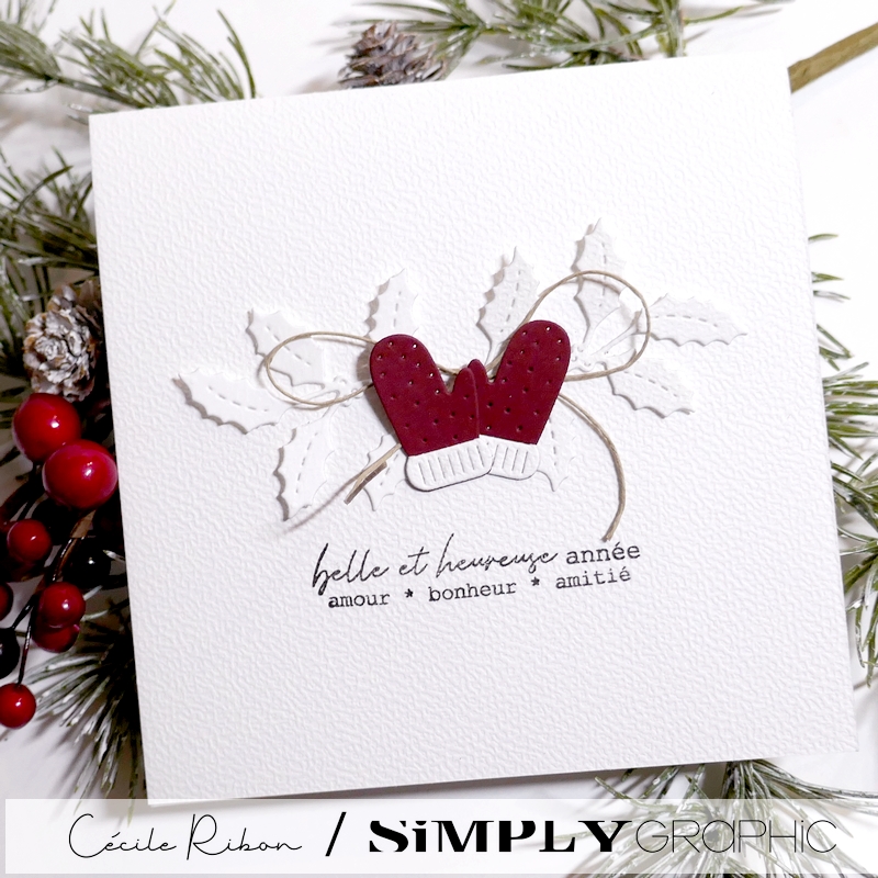 CalAvent SG18 - P1440117