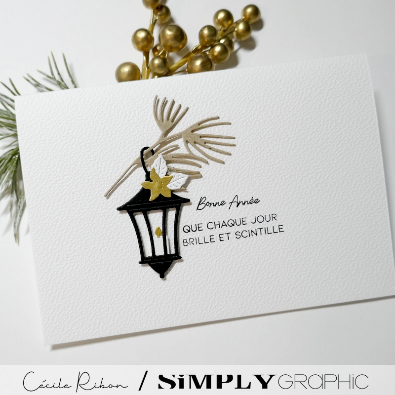 CalAvent SG20 - P1440220