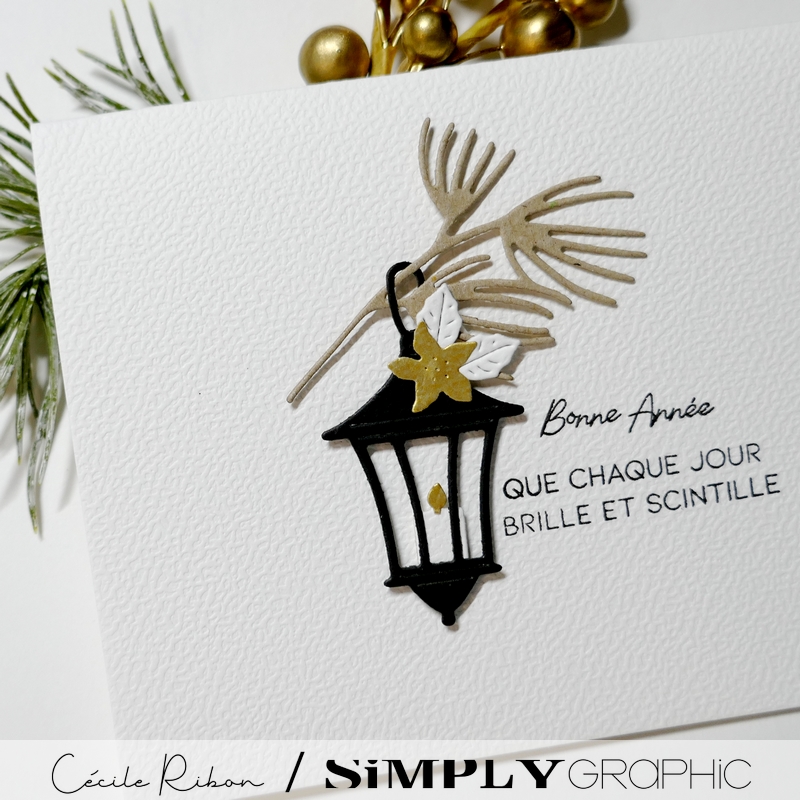 CalAvent SG20 - P1440226