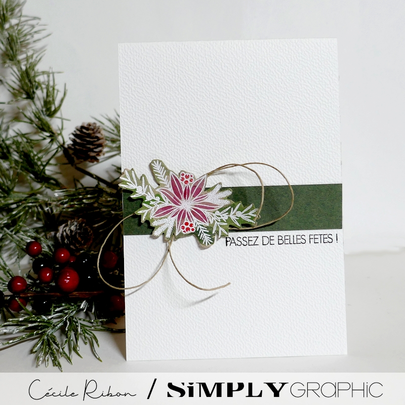 CalAvent SG22 - P1440313