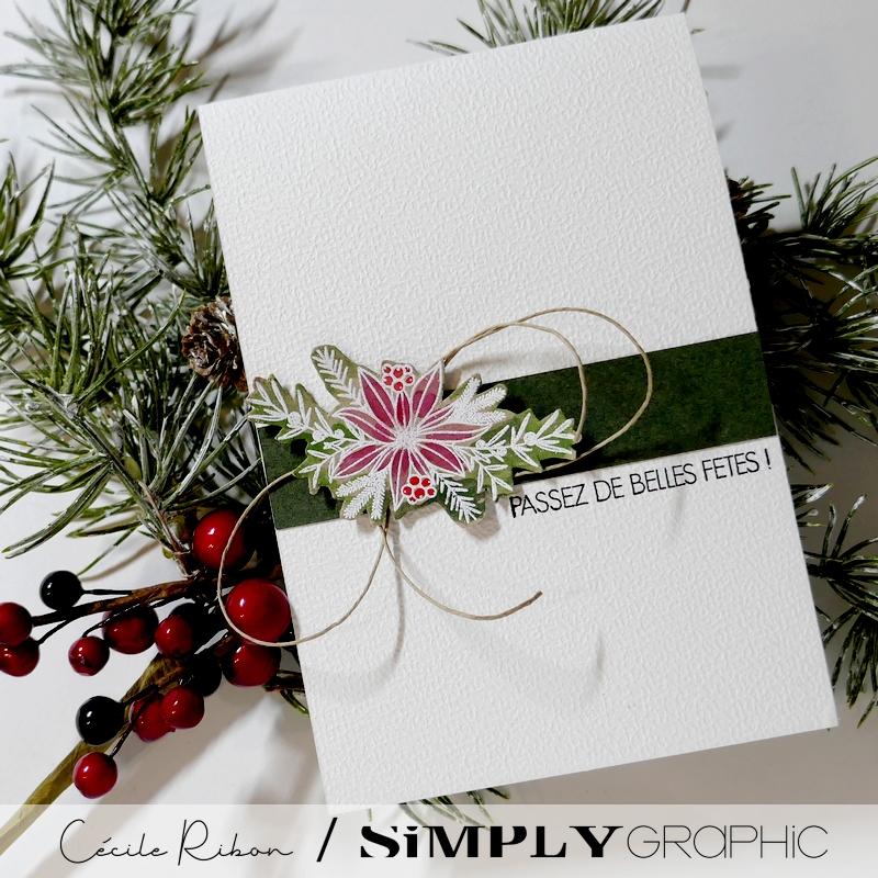 CalAvent SG22 - P1440319