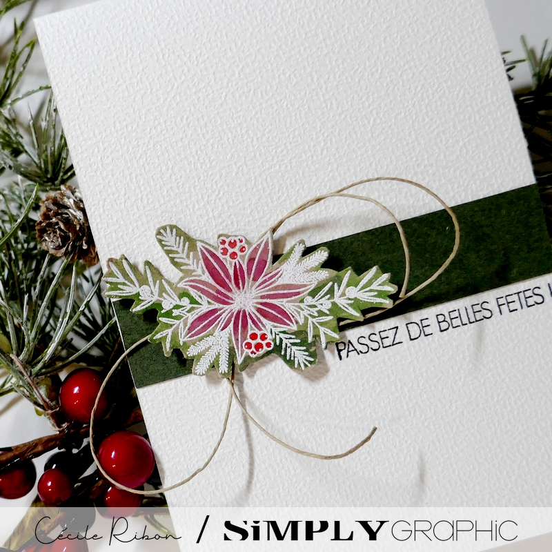 CalAvent SG22 - P1440322