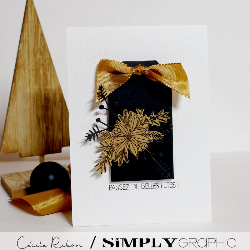 CalAvent SG22 - P1440330