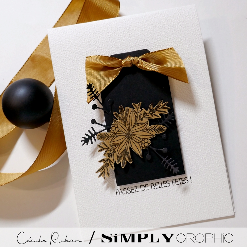 CalAvent SG22 - P1440331