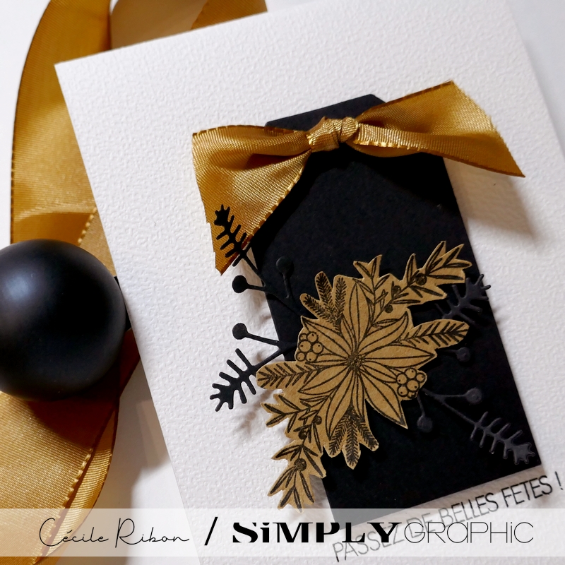 CalAvent SG22 - P1440338