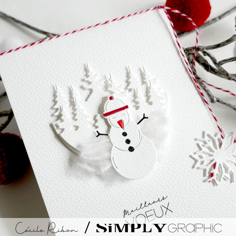 CalAvent SG23 - P1440406