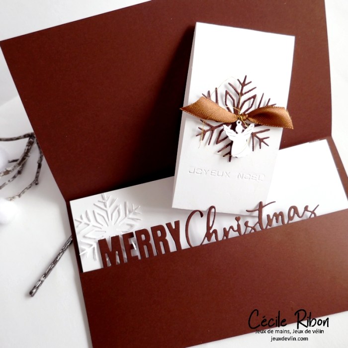 Carte Noël2023 02 - P1430981