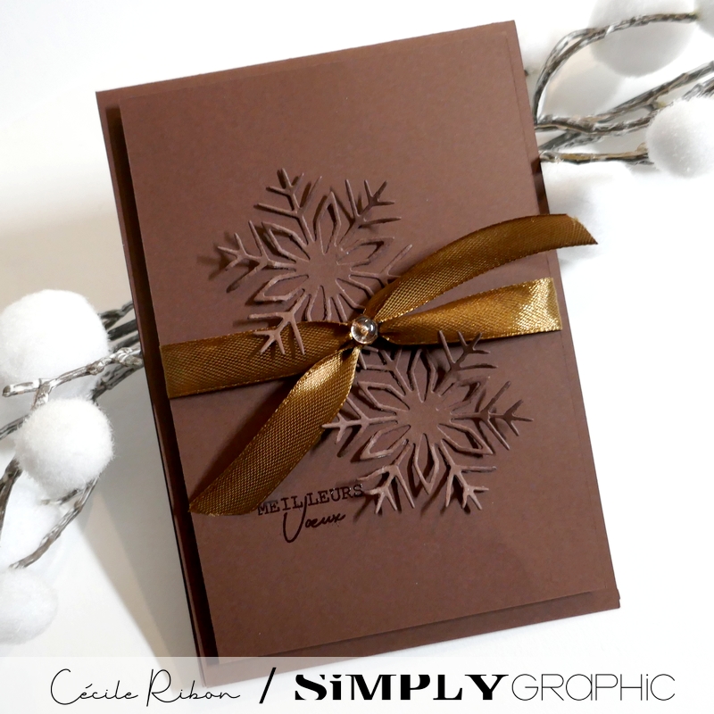 Carte SGAent14 - P1430909