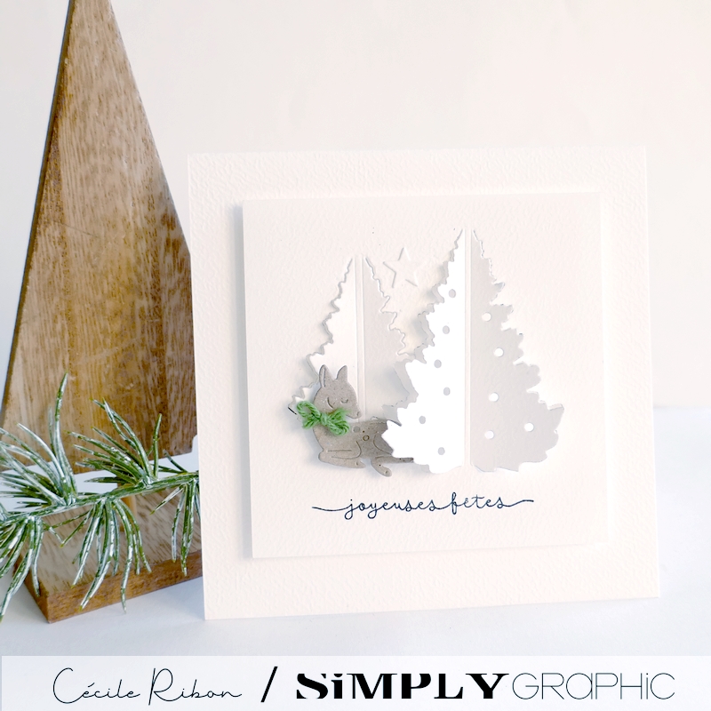 Carte SGAvent01 - P1430402