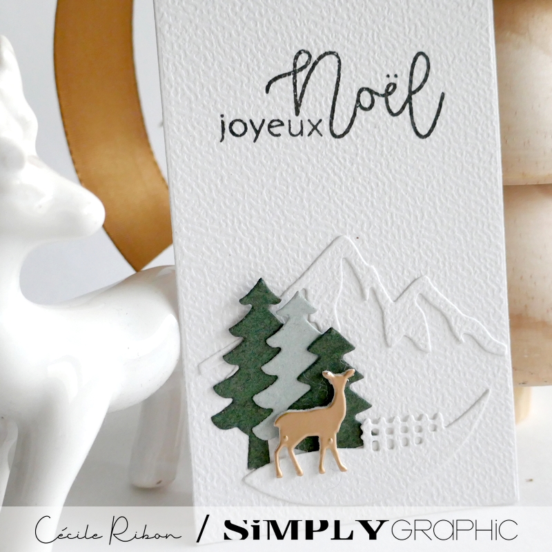 Carte SGAvent07 - P1430681