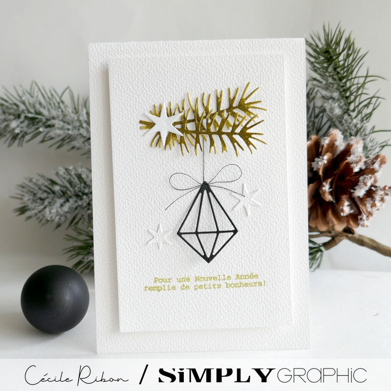 Carte SGAvent09 - P1430740