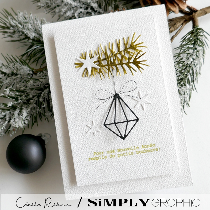 Carte SGAvent09 - P1430748